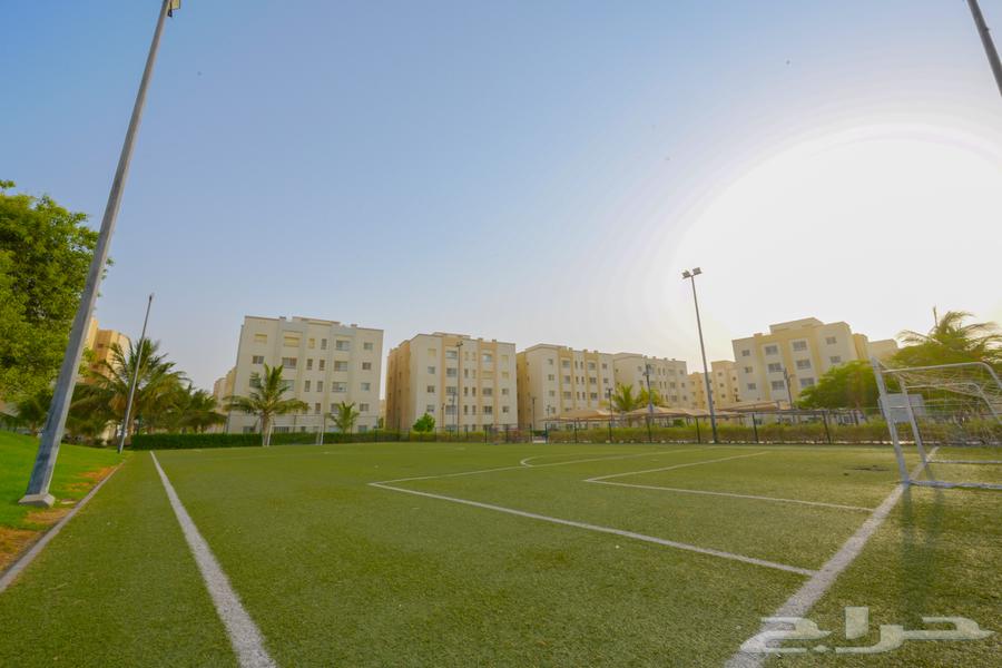 2 bedroom apartment in Al Harir 7