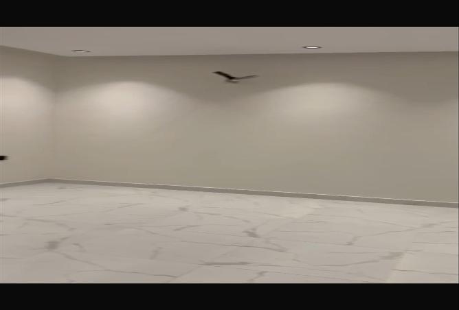 5 bedroom apartment in Al Salamah 2
