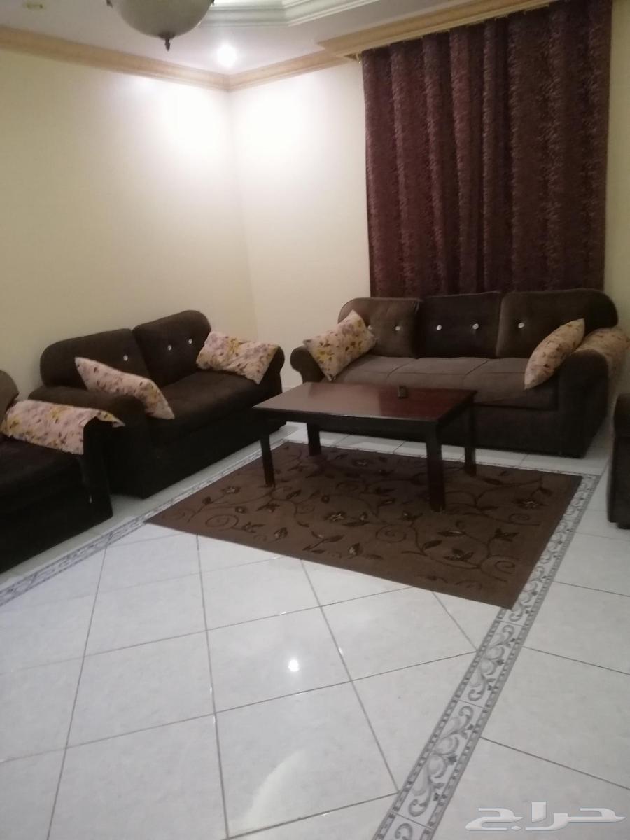 1 bedroom apartment in Bani Malik 3