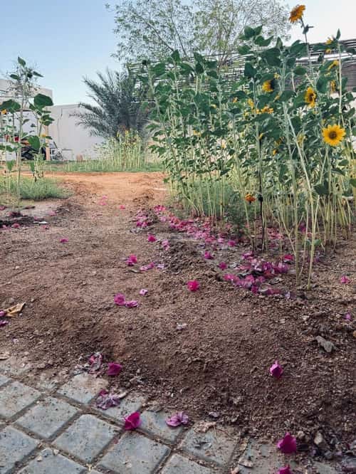 2 bedroom villa in Al Asalah, Jeddah 19
