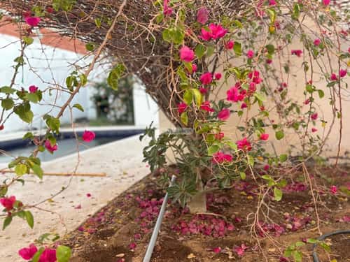 2 bedroom villa in Al Asalah, Jeddah 6