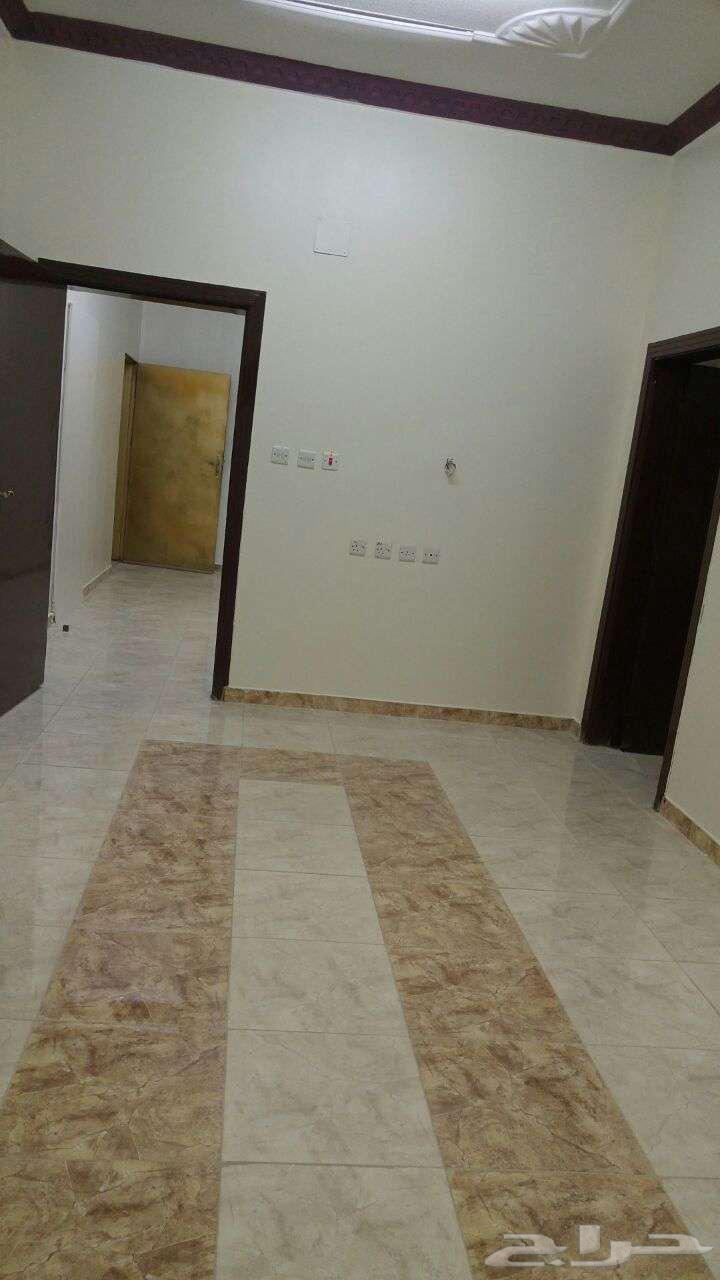 شقة 2 غرف في ظهرة لبن 1