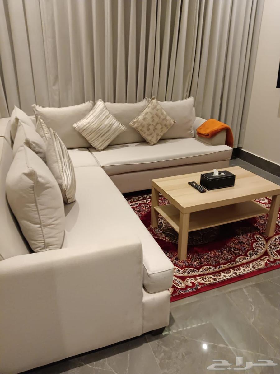 شقة 1 غرف في ظهرة لبن 2