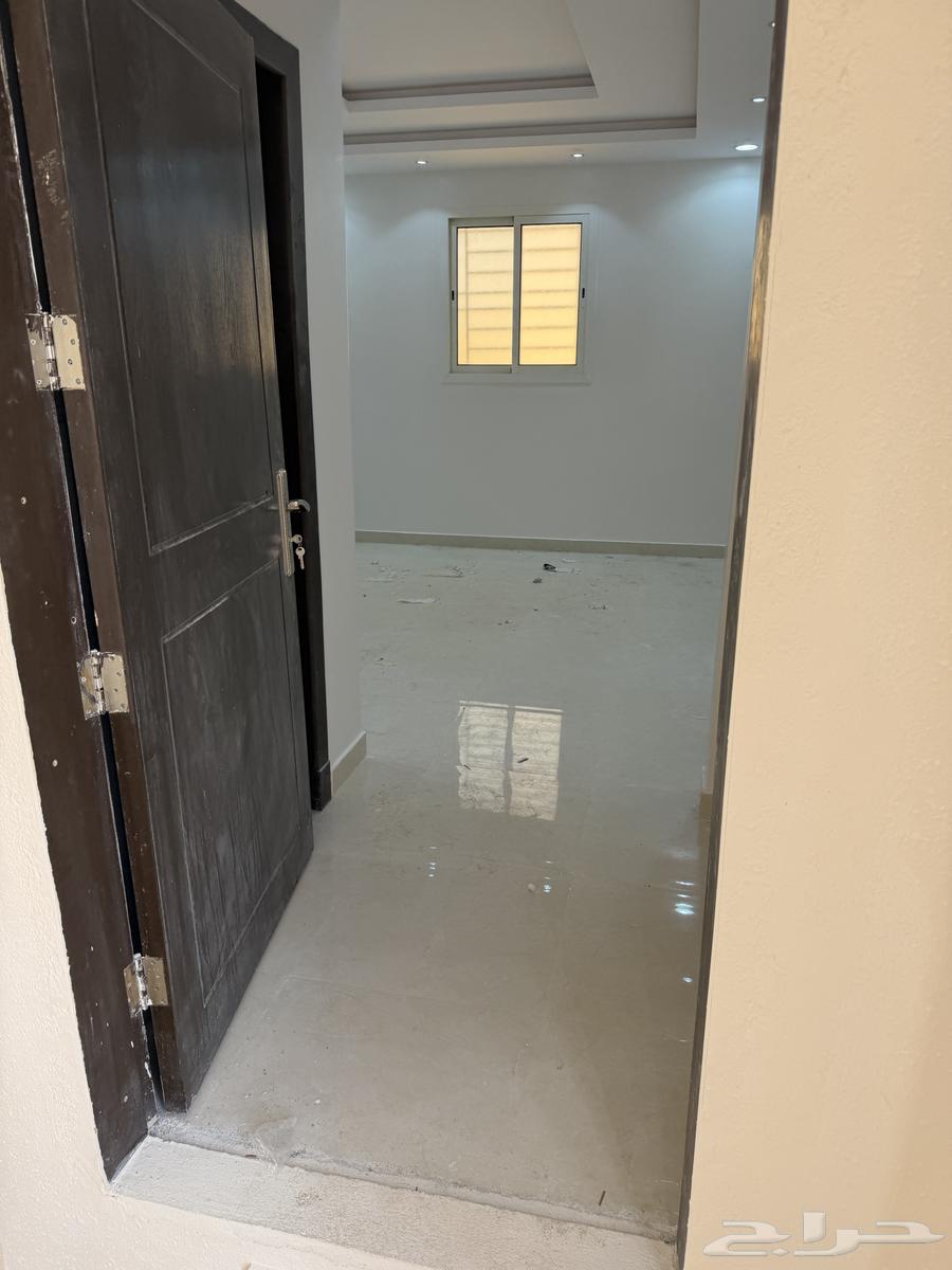 شقة  في عكاظ 1