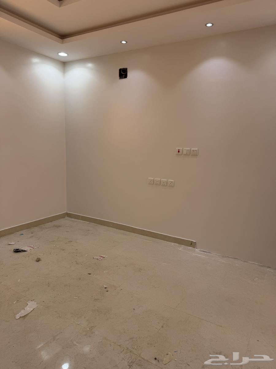 شقة  في عكاظ 2