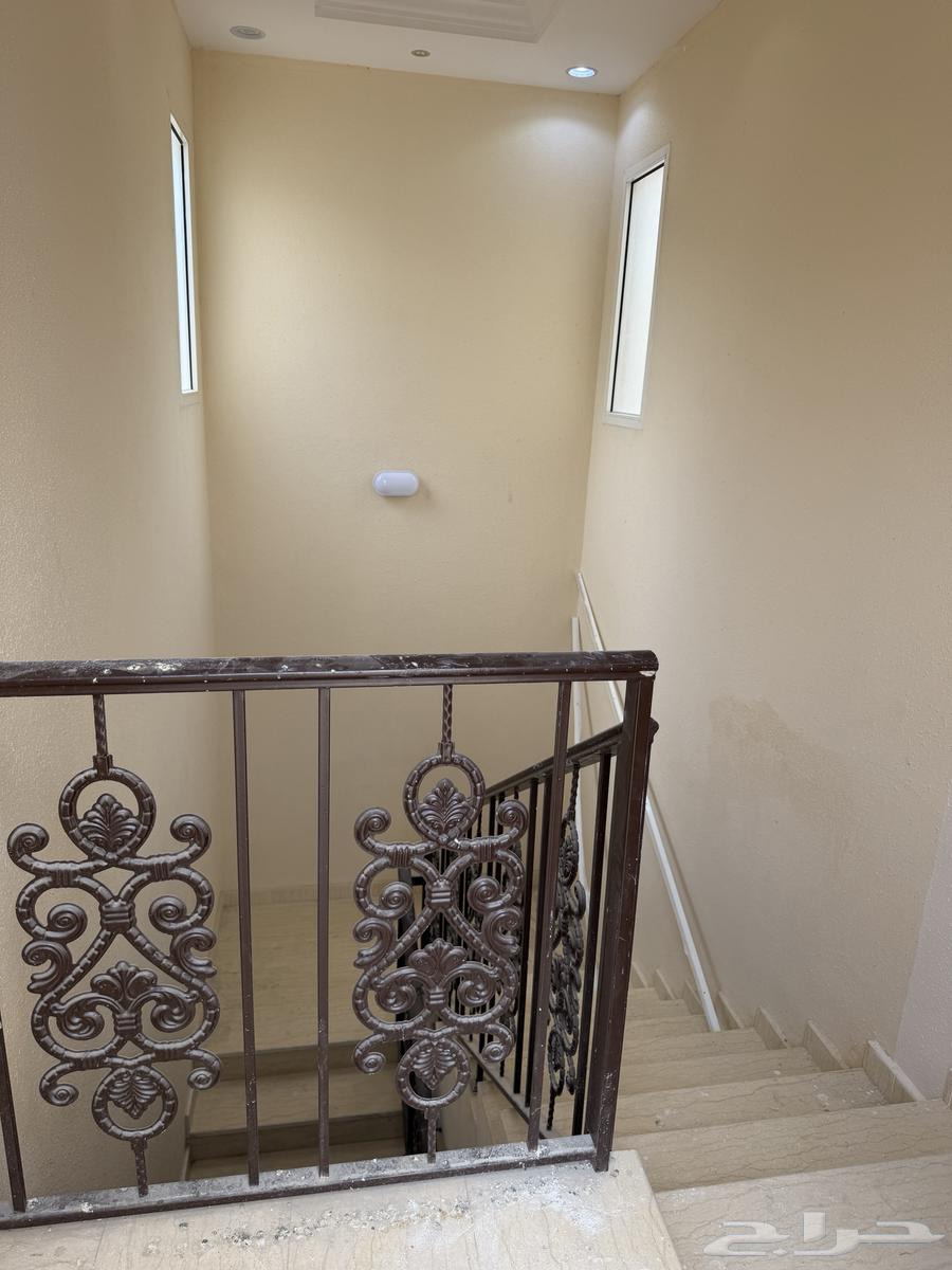 شقة  في عكاظ 3