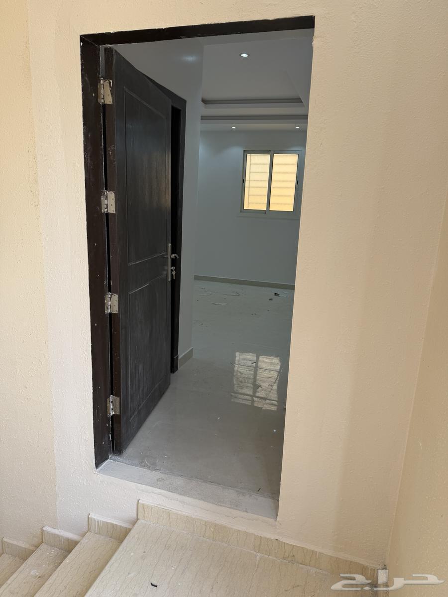 شقة  في عكاظ 4