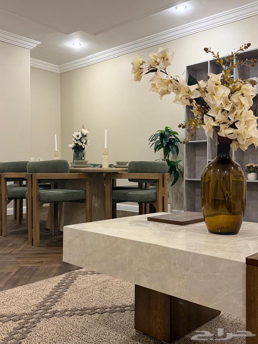 شقة 2 غرف في الصالحية 1