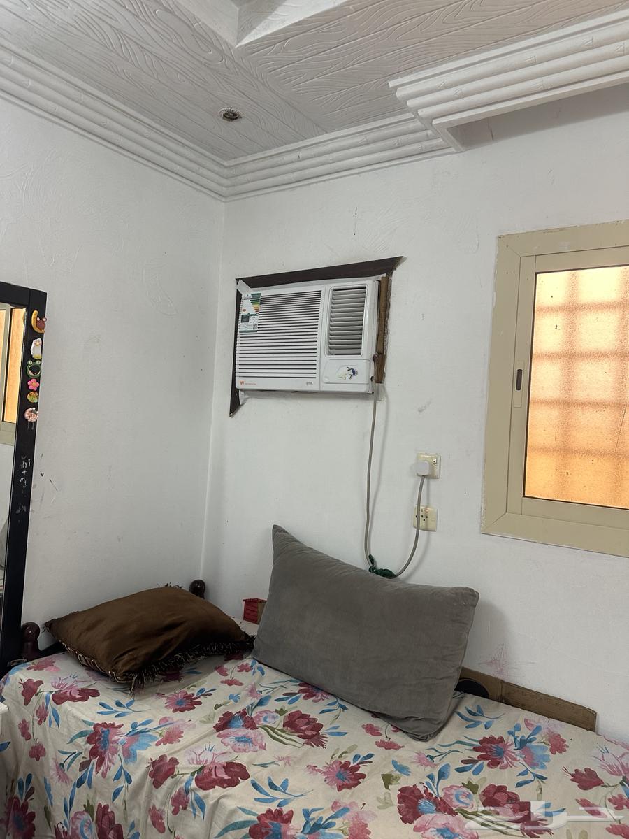 شقة  في العمرة الجديدة