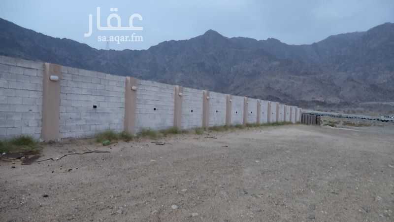 عقار  في الراشدية، مكة 3