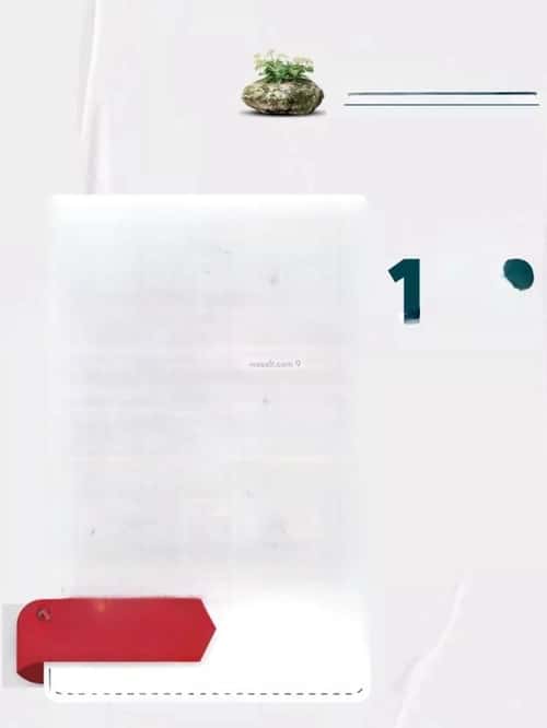 شقة 3 غرف في الروضة 2