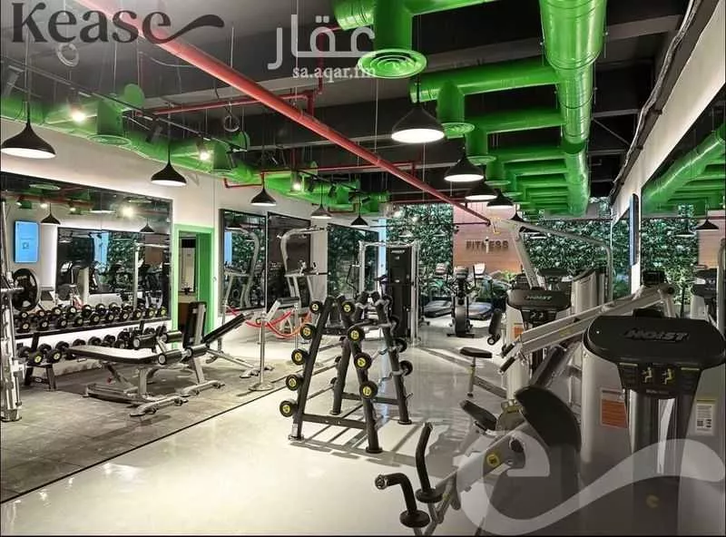 شقة 3 غرف في الملقا 14