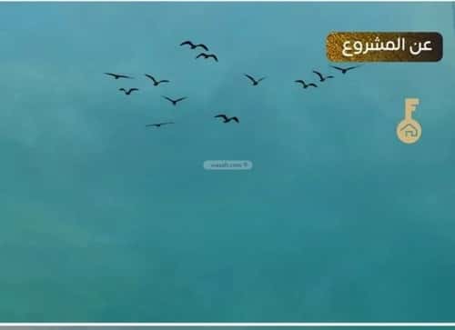 2 bedroom apartment in Al Nuzhah 2