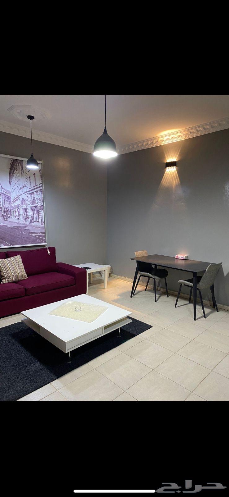 شقة 9 غرف في الدار البيضاء 2