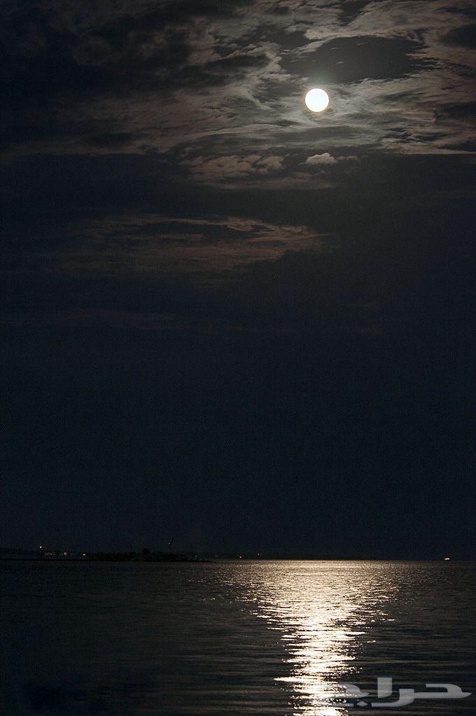 2 bedroom apartment in Al Nahda