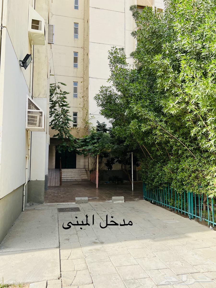 شقة 5 غرف في الامير عبدالمجيد 1