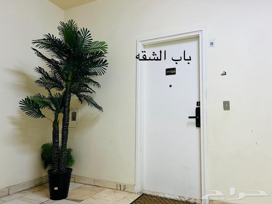 شقة 5 غرف في الامير عبدالمجيد 2