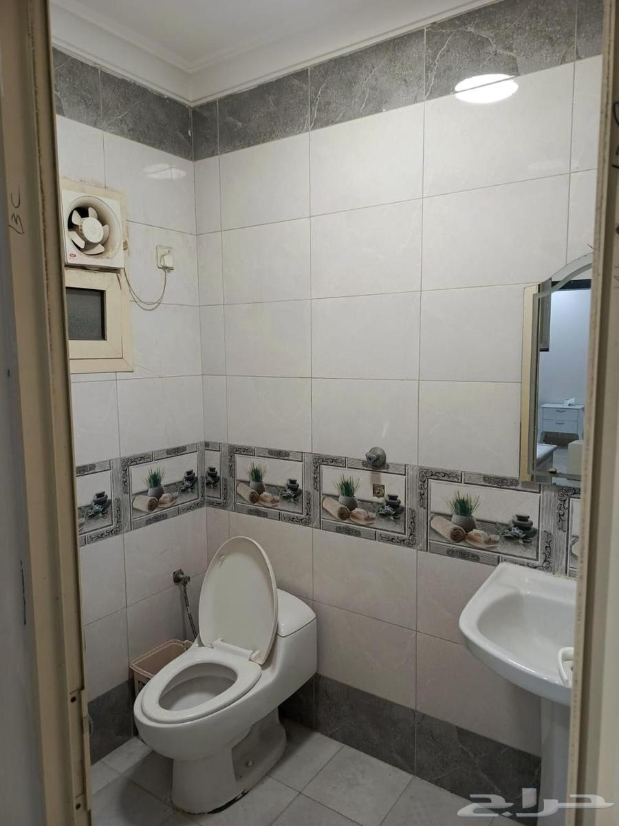 شقة 2 غرف في النور 2