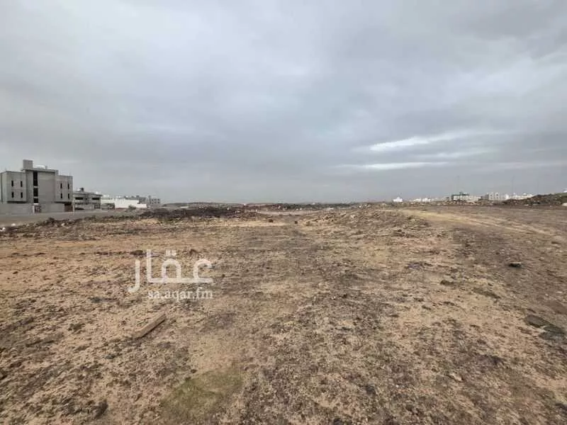 land in Al Rumanah, Madinah 4