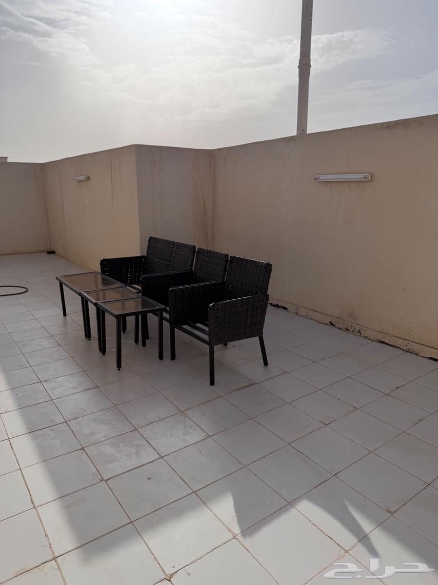 شقة 2 غرف في ظهرة لبن 1
