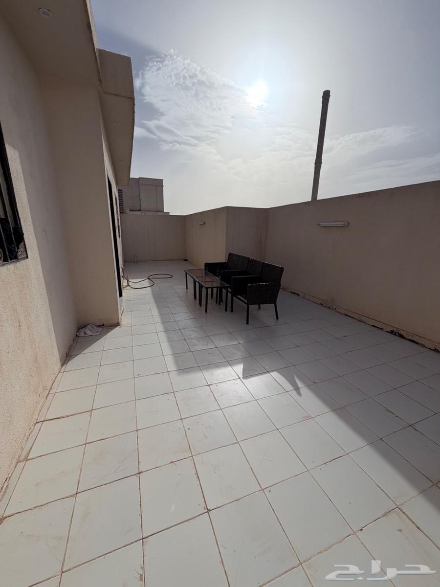 شقة 2 غرف في ظهرة لبن 2