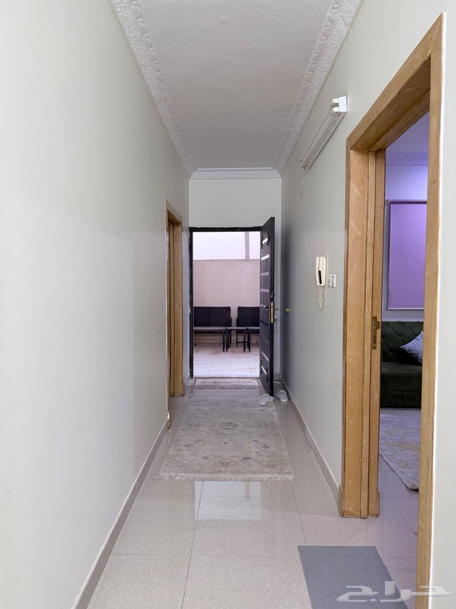 شقة 2 غرف في ظهرة لبن 3