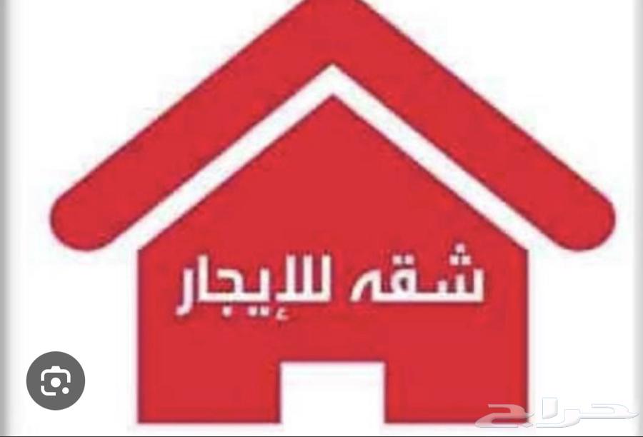 شقة  في الشهداء