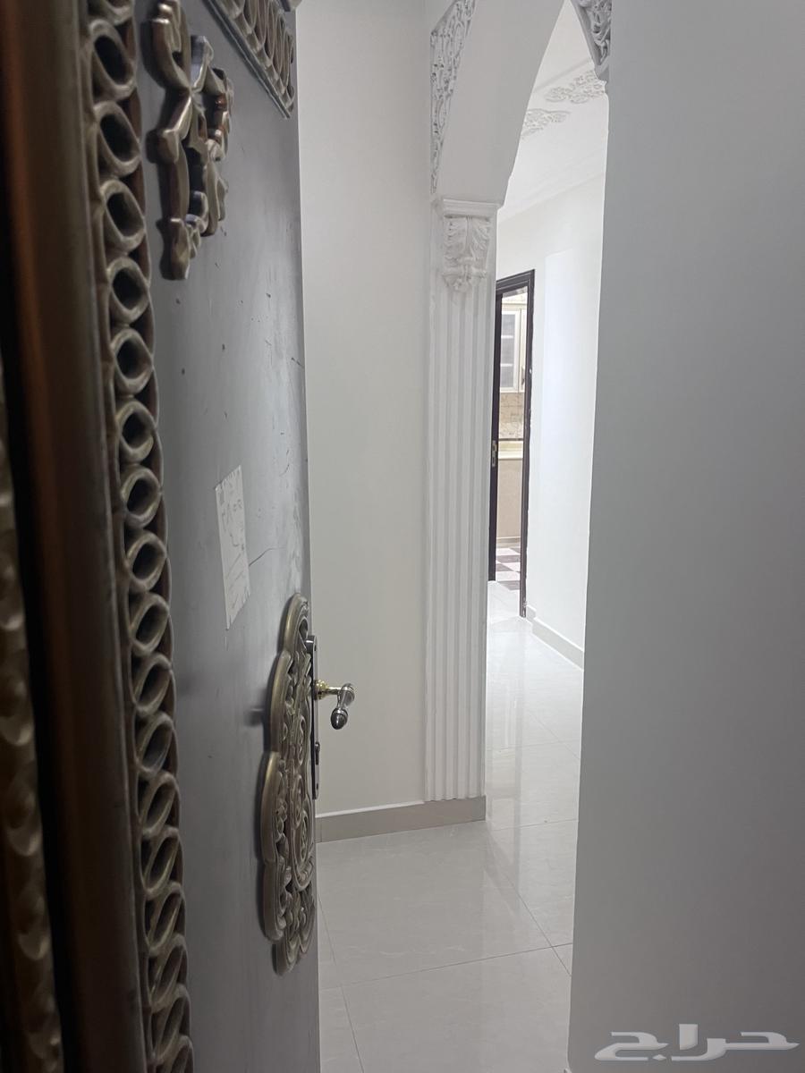 شقة 1 غرف في ظهرة لبن 4