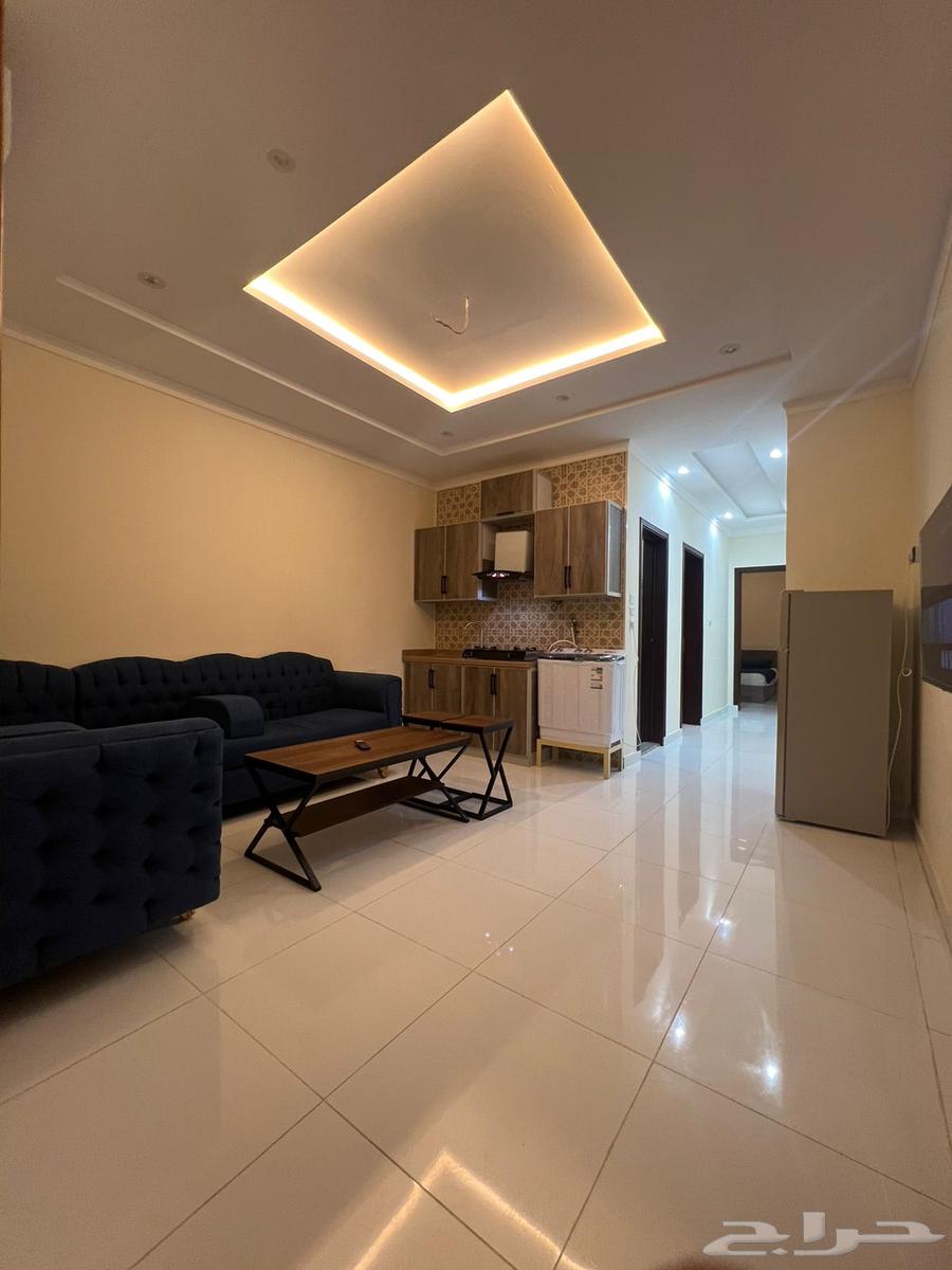 شقة 1 غرف في المريخ 5