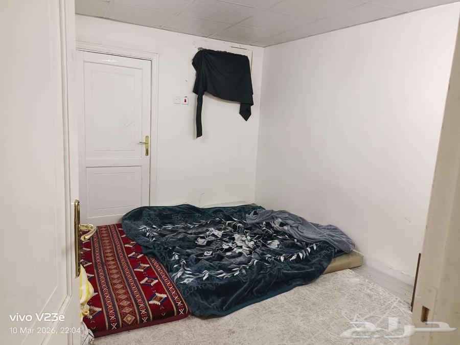 شقة 30 غرف في المغيسلة 2