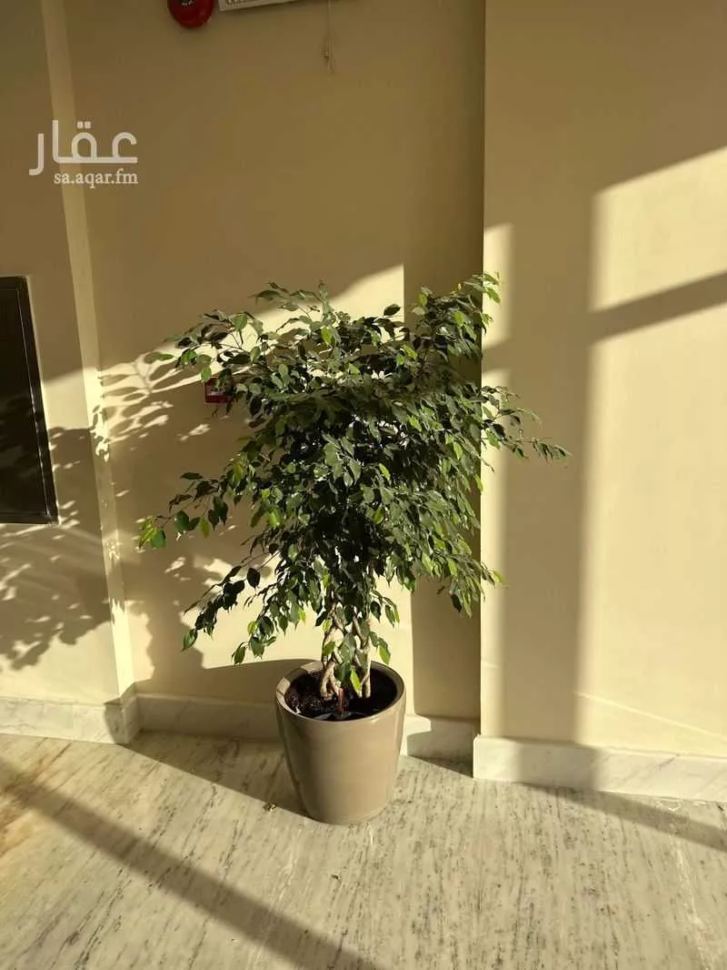 1 bedroom office in Al Narjis, Riyadh 9