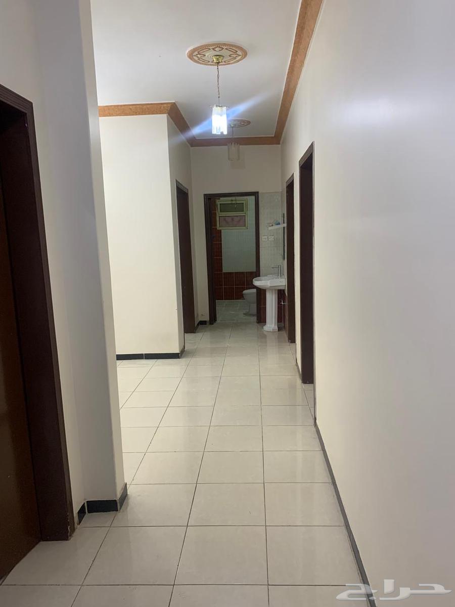 شقة 4 غرف في الخليج 5