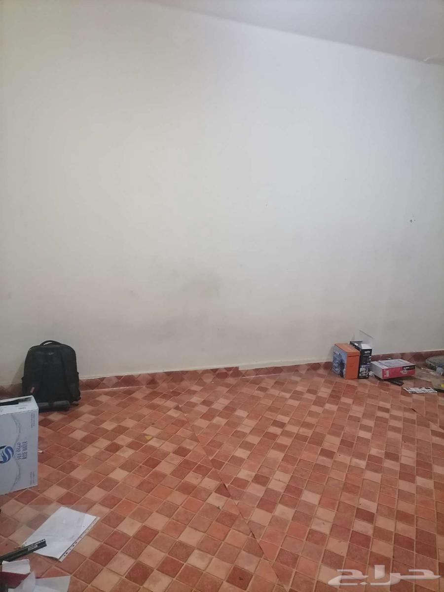 شقة  في الثغر