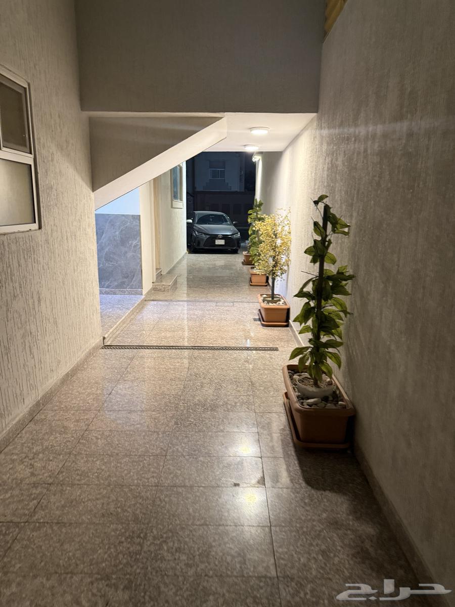 شقة 2 غرف في العزيزية الثاني 2