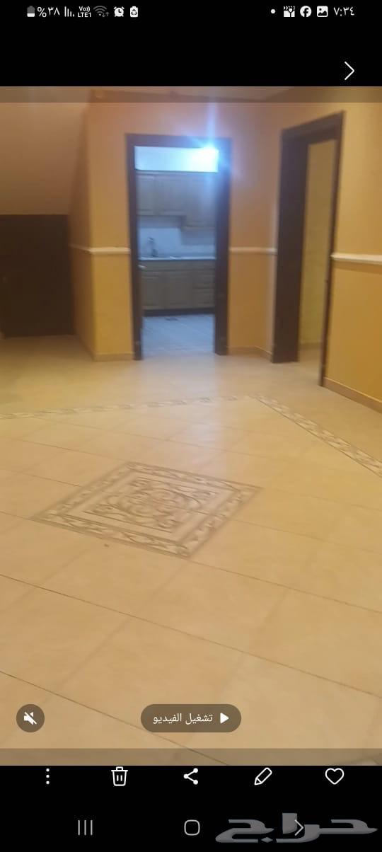 شقة 1 غرف في النخيل