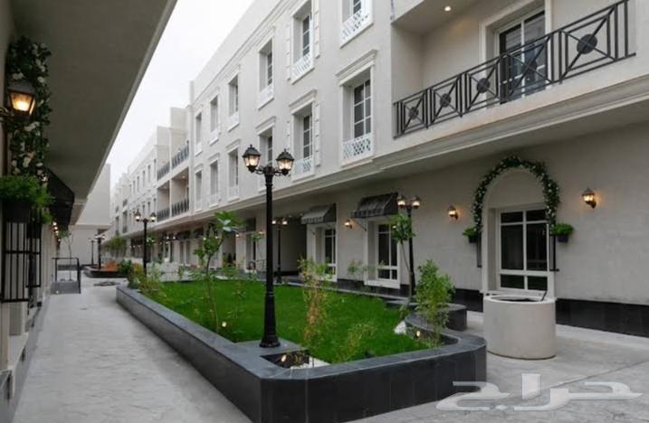 شقة 3 غرف في النرجس 1