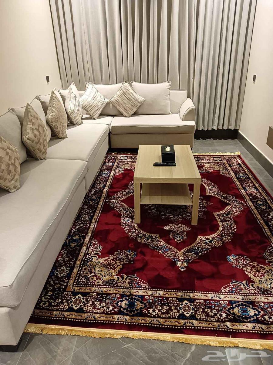 شقة 2 غرف في ظهرة لبن 3