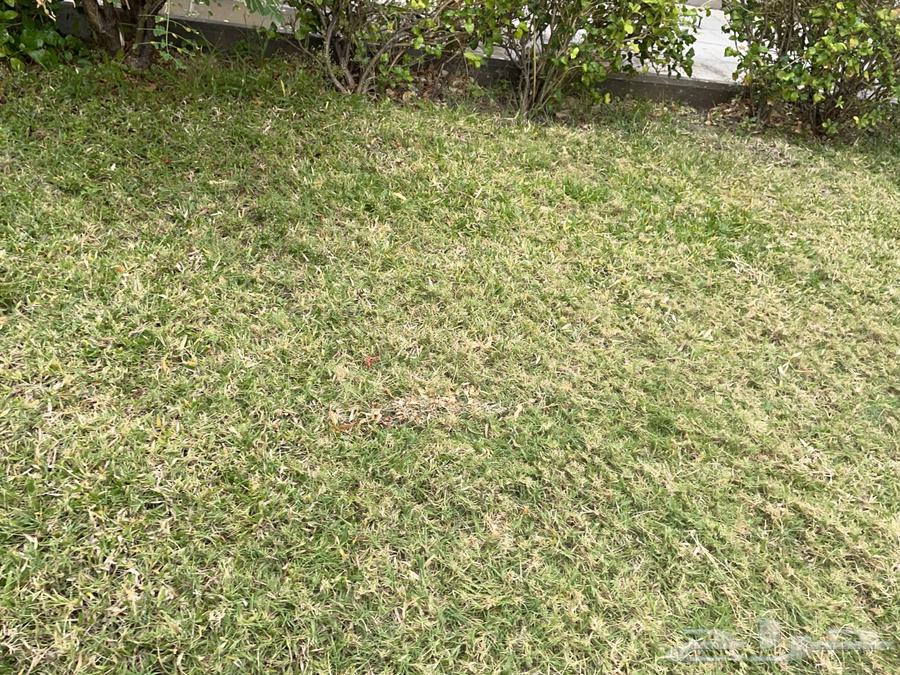 شقة  في الرحاب