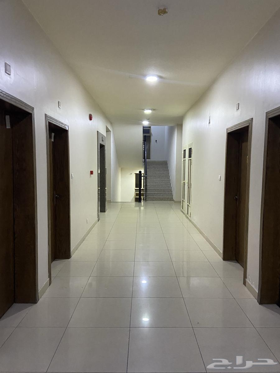 شقة 1 غرف في الفيصلية 5