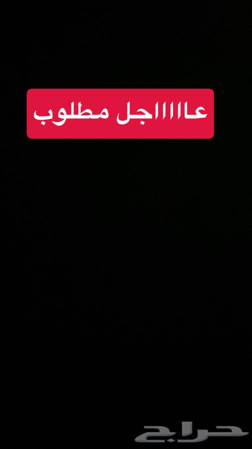 شقة 3 غرف في العزيزية