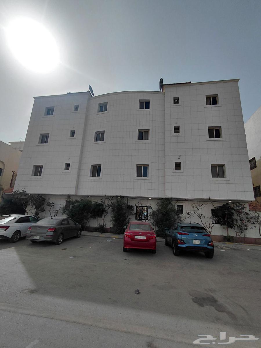 شقة 1 غرف في حطين