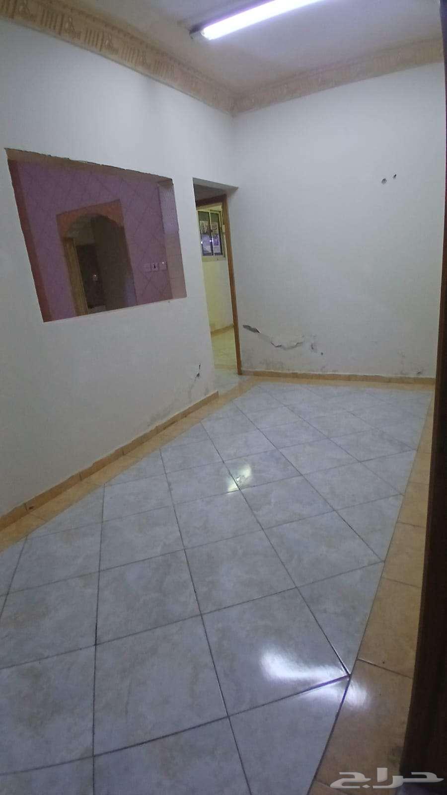 شقة 1 غرف في الخليج 1