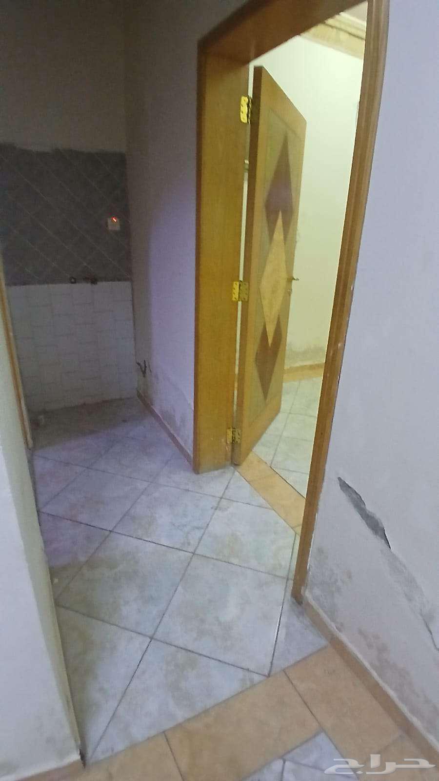 شقة 1 غرف في الخليج 2