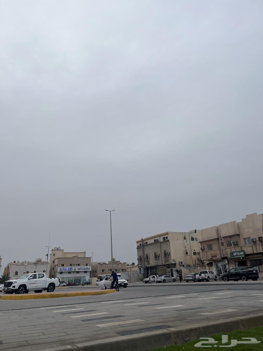 شقة  في طيبة