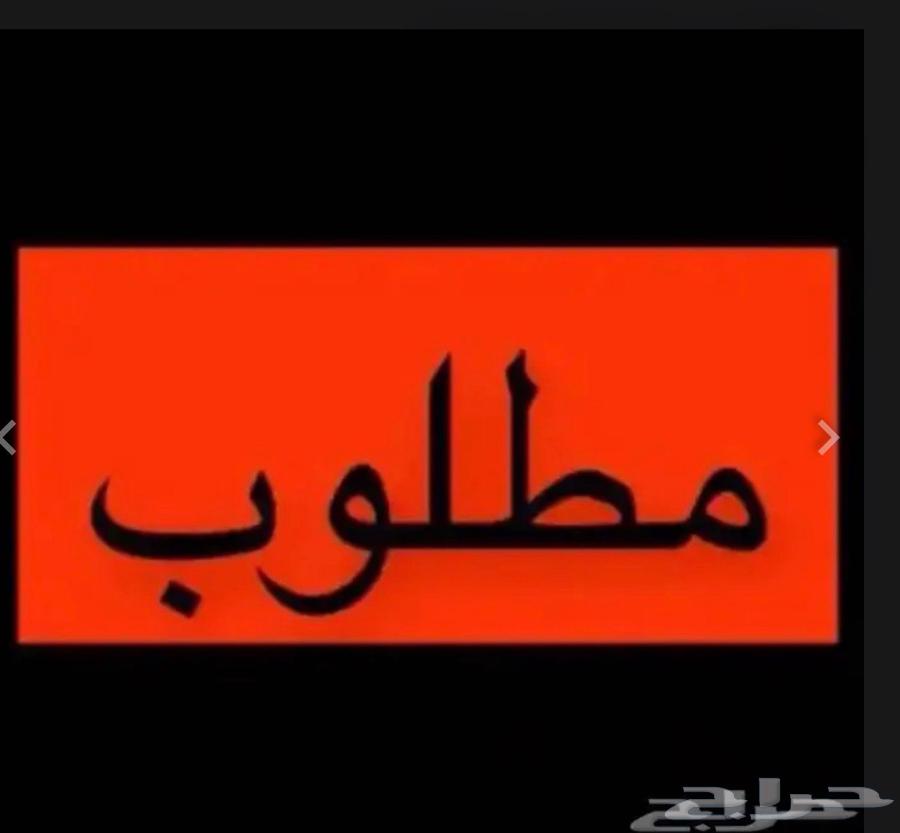 شقة  في ولي العهد