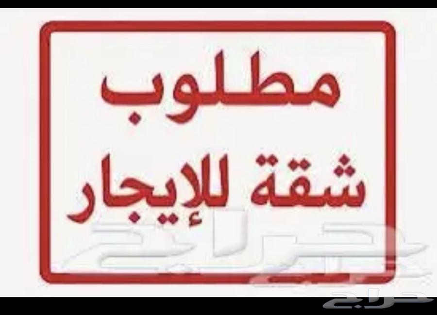 شقة 3 غرف في احد