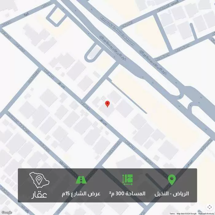 أرض 300 م² في النخيل 1