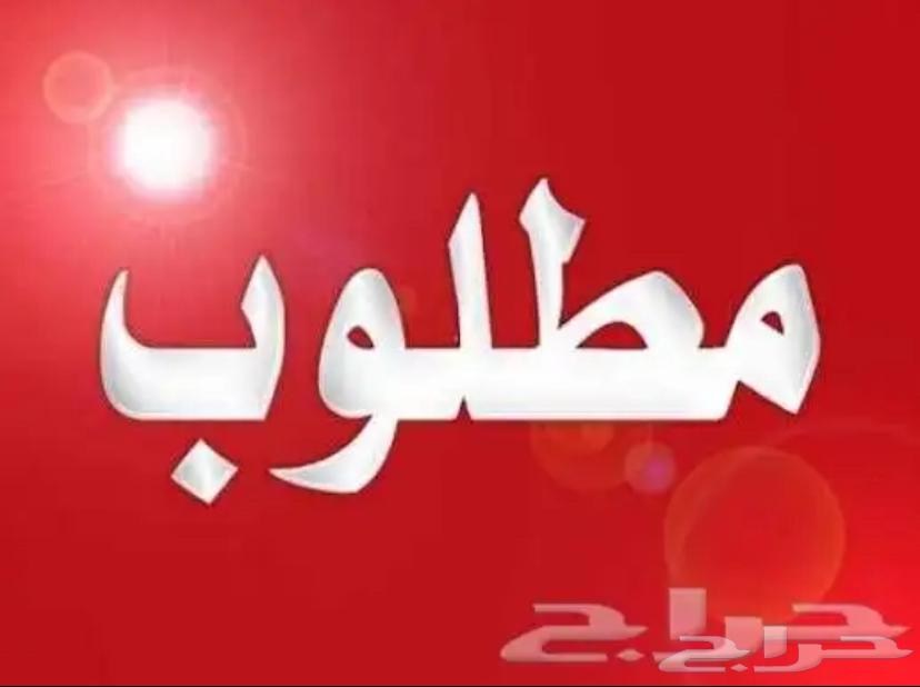 شقة 1 غرف في الفيصلية