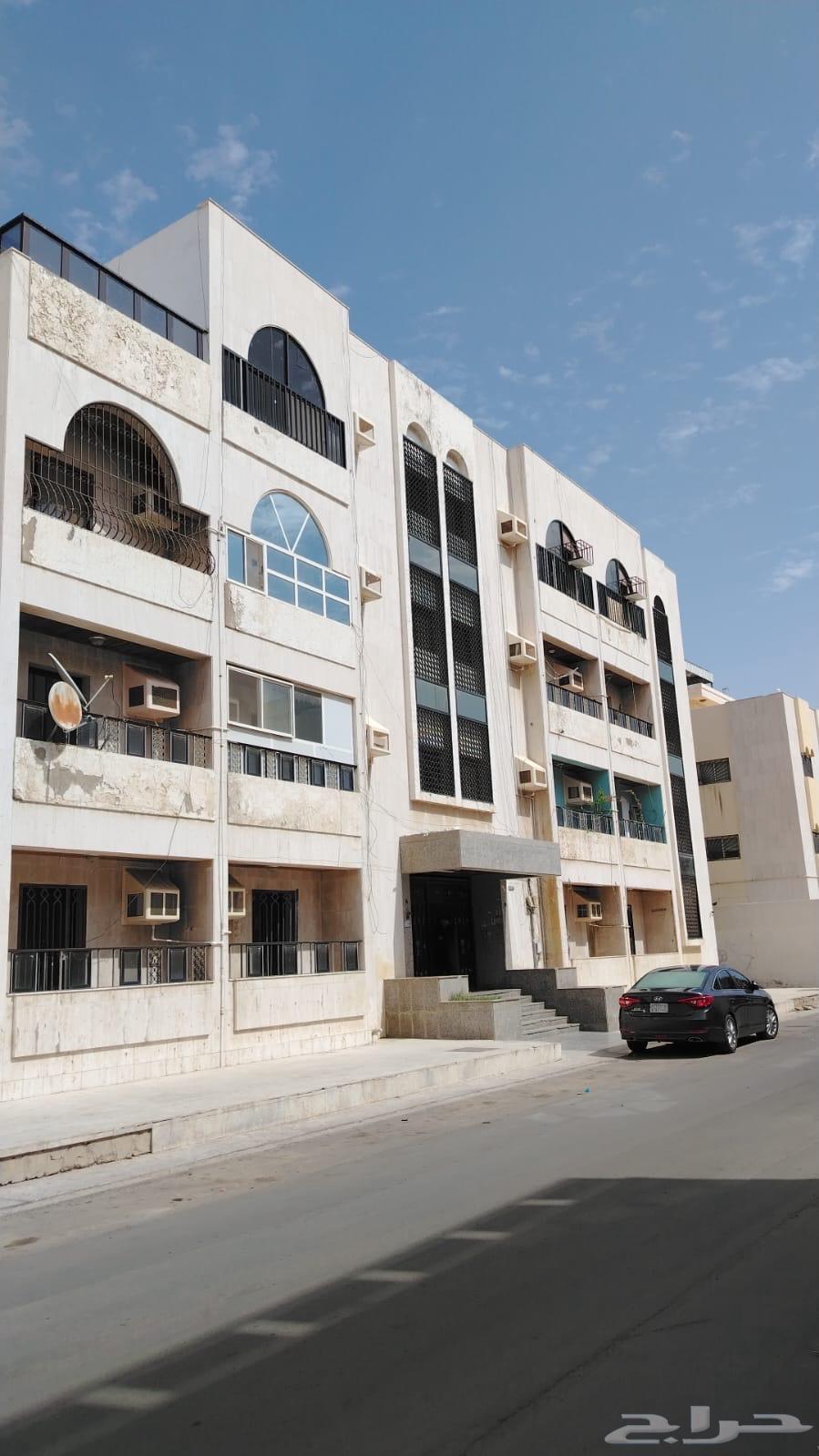 شقة  في بني مالك