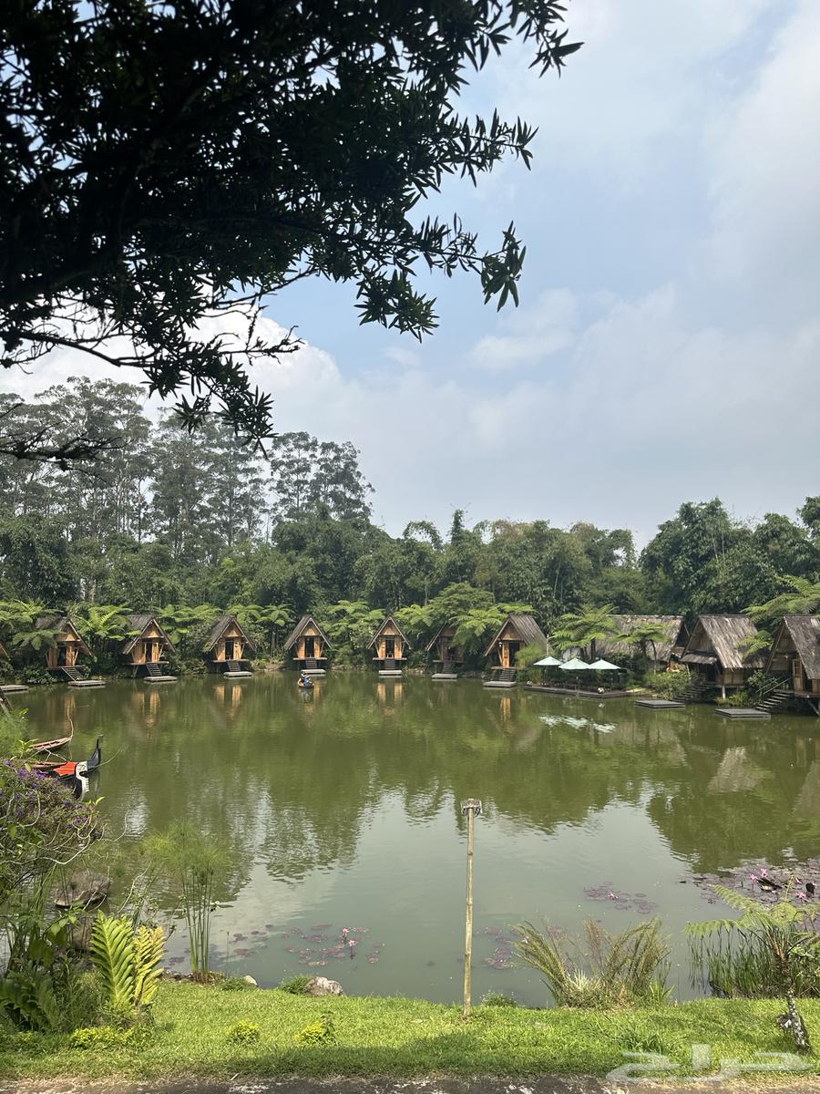 شقة  في الواحة